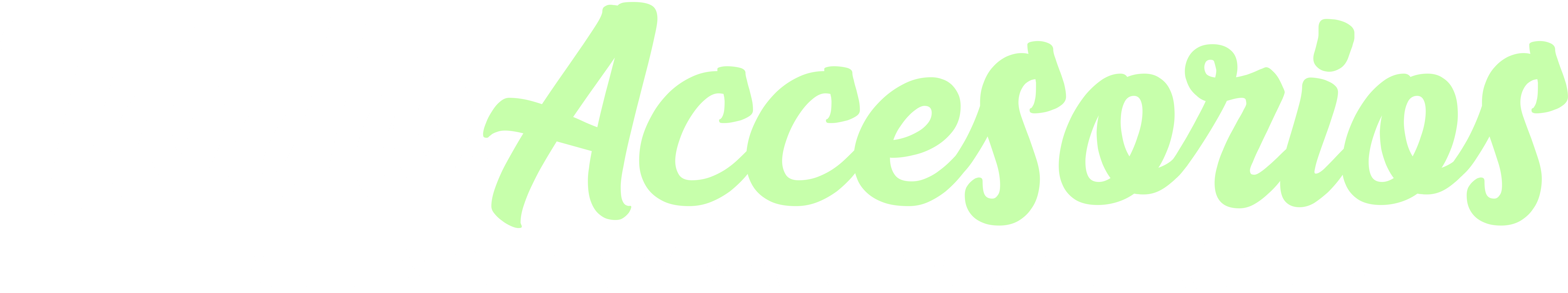 Todo Accesorios logo