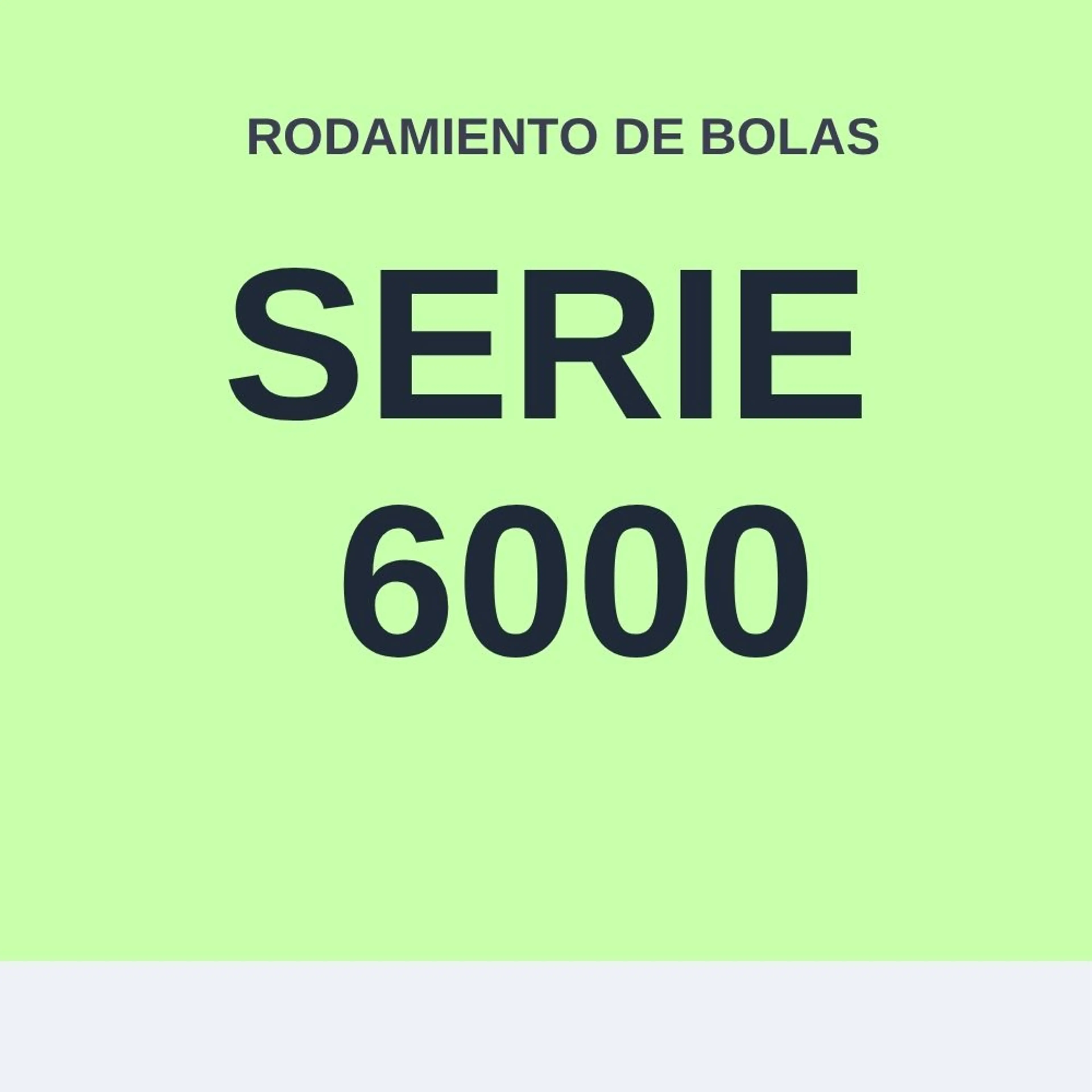 RODAMIENTO DE BOLA SERIE 6000
