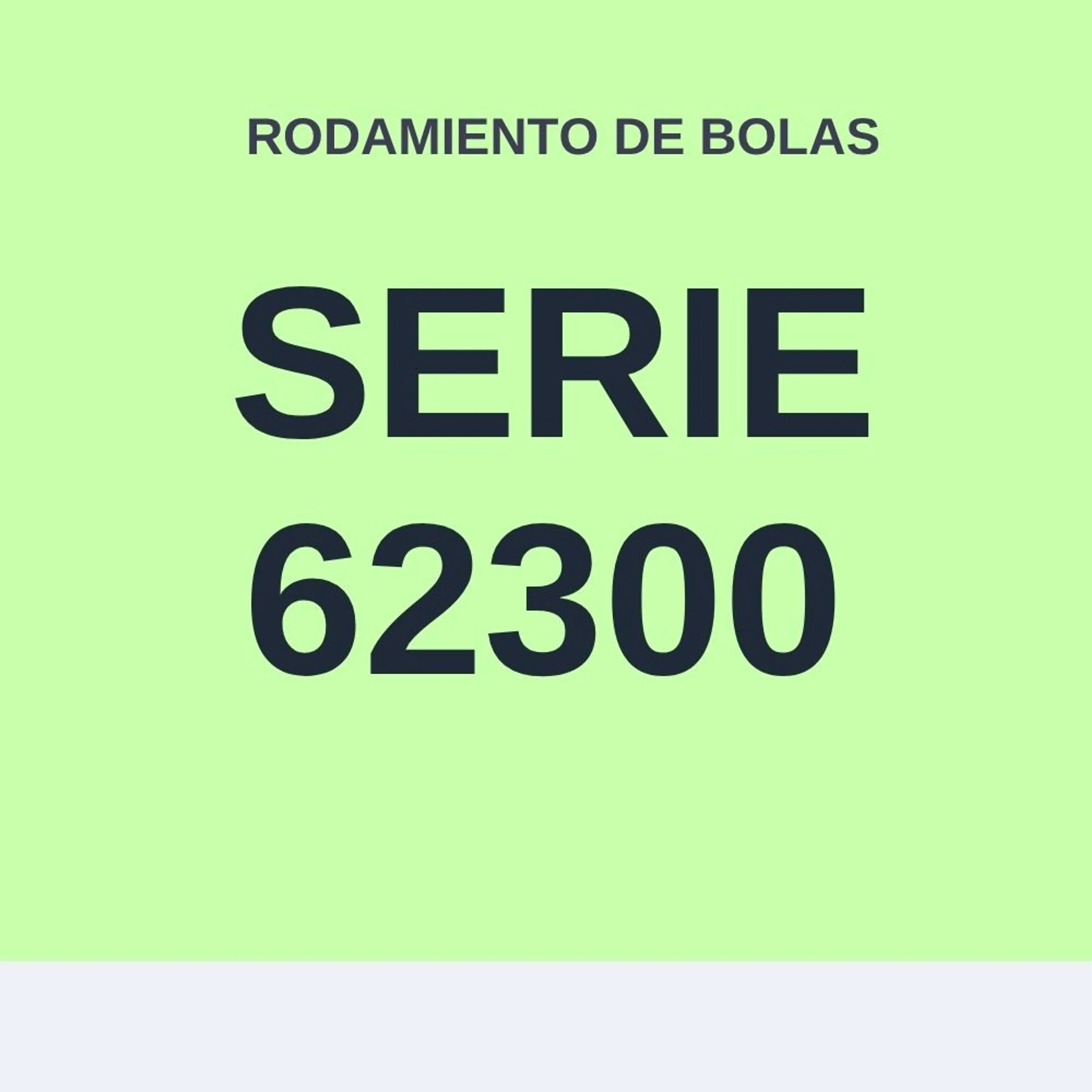 RODAMIENTO DE BOLAS SERIE 62300